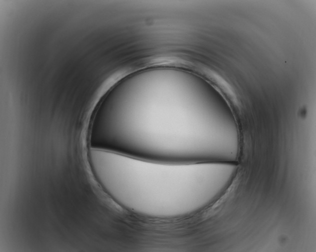 X0000103451330200809121116
