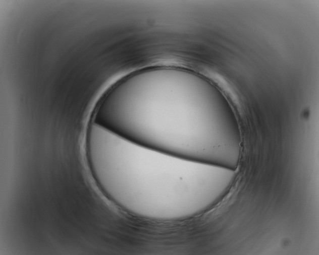 X0000103451331200809121116