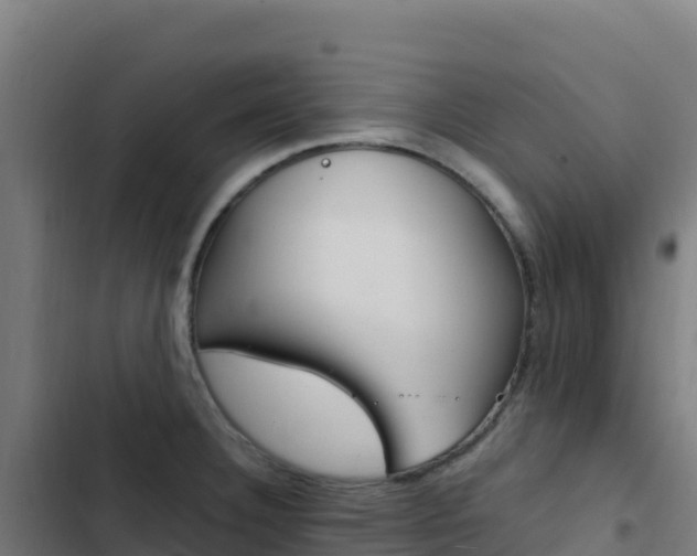 X0000103451332200809121116