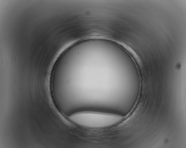 X0000103451333200809121116