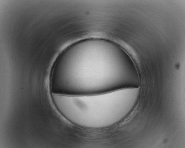 X0000103451334200809121116