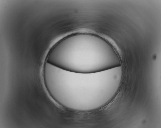X0000103451335200809121116