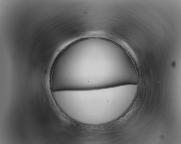 X0000103451336200809121116