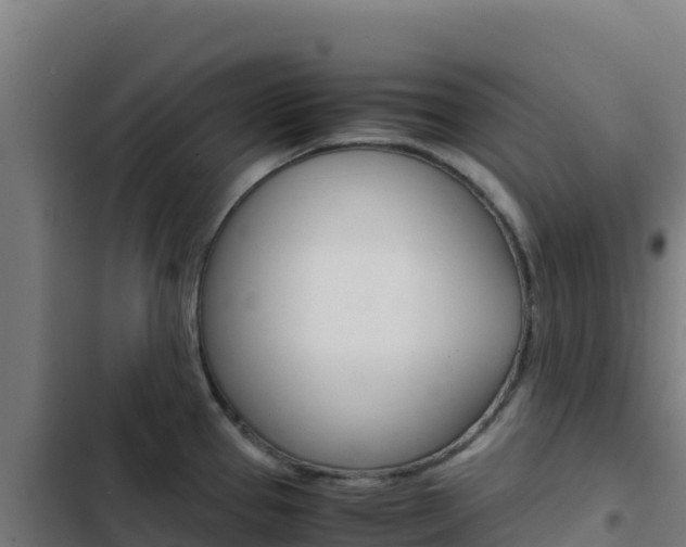 X0000103451337200809121116