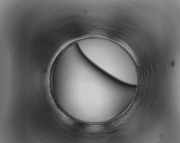 X0000103451339200809121116