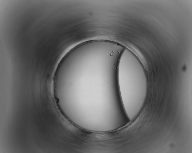 X0000103451340200809121116