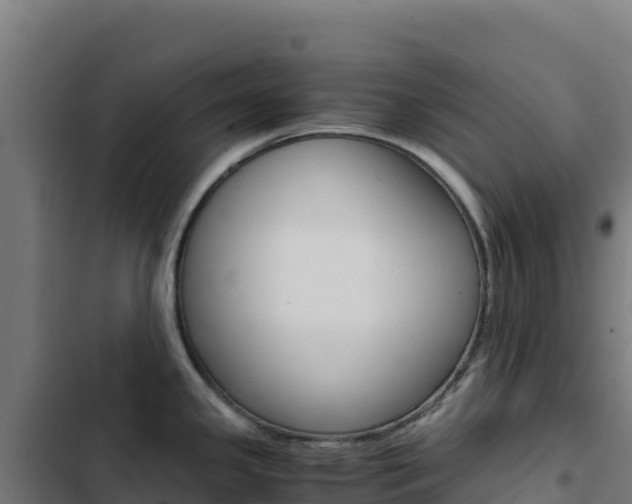 X0000103451341200809121116