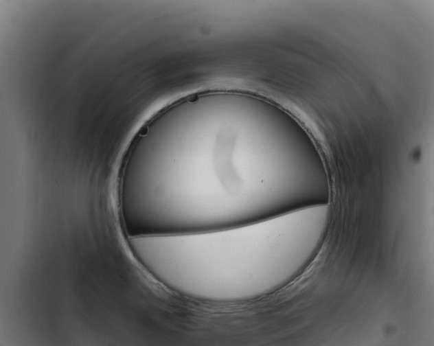 X0000103451342200809121116