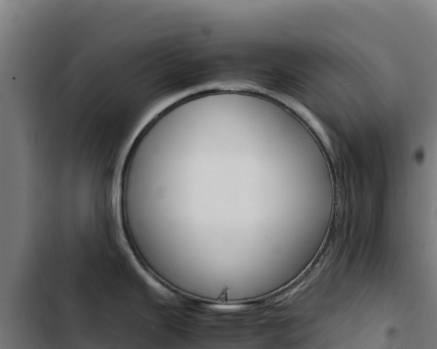 X0000103451343200809121116