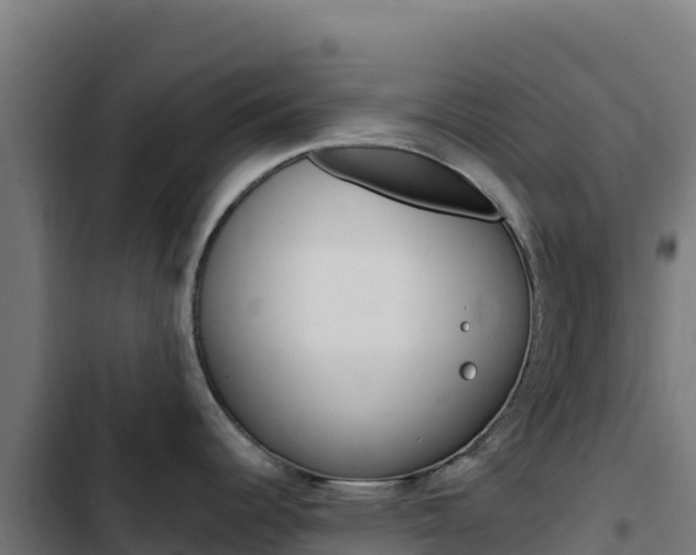 X0000103451344200809121116