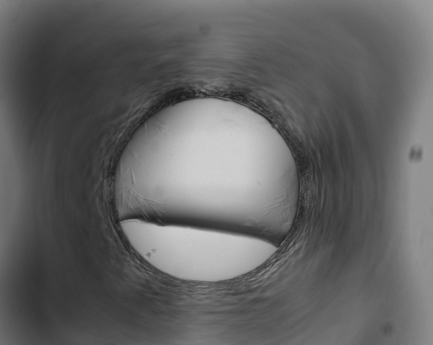 X0000103451345200809121116