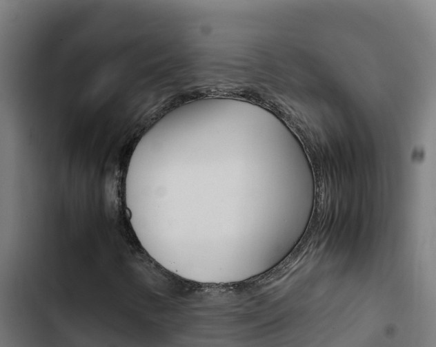 X0000103451346200809121115
