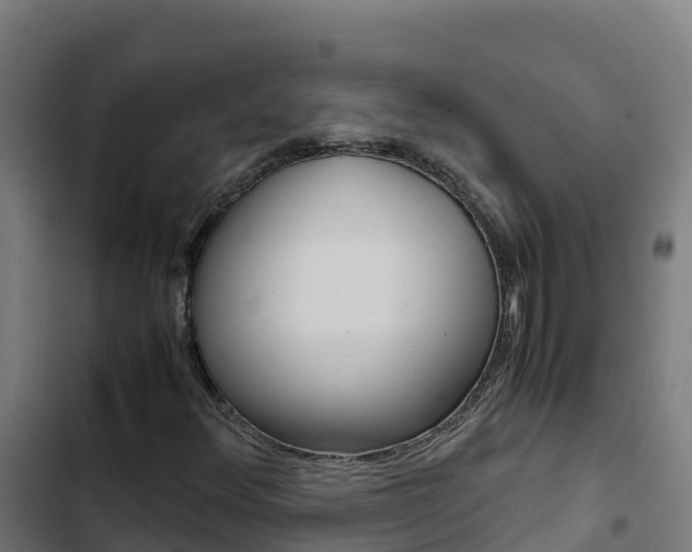 X0000103451348200809121115