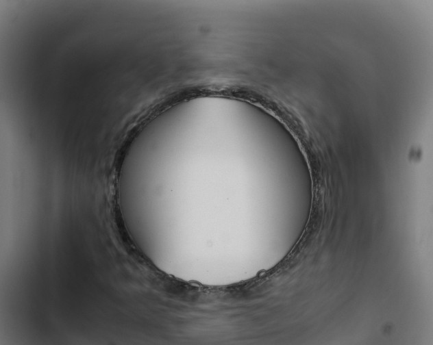 X0000103451349200809121115