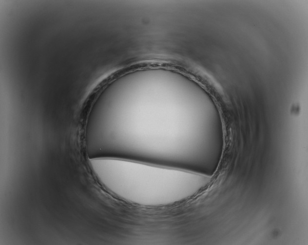 X0000103451352200809121115