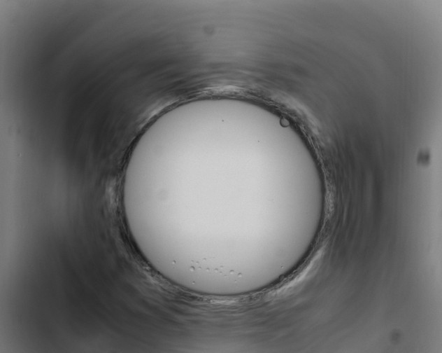 X0000103451353200809121115