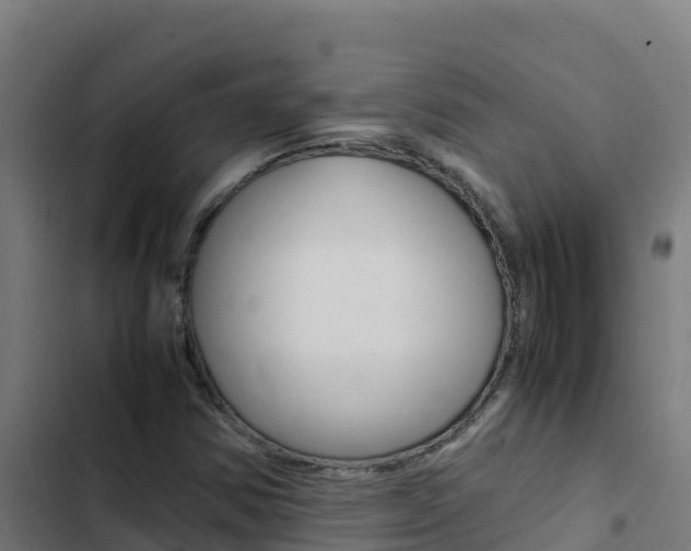 X0000103451354200809121115