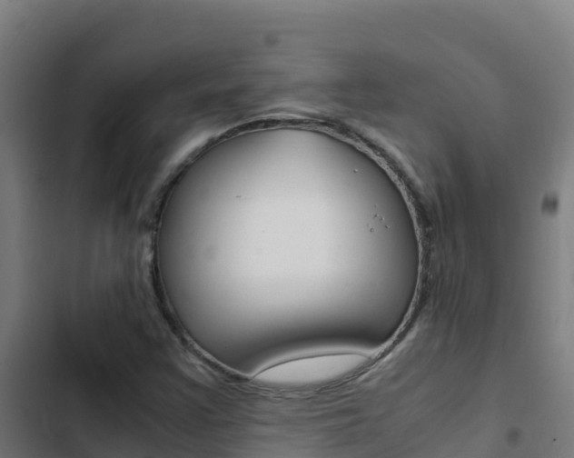 X0000103451355200809121115