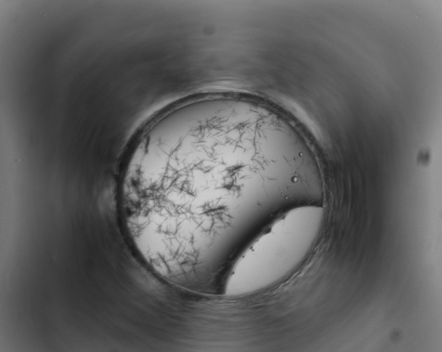 X0000103451356200809121115