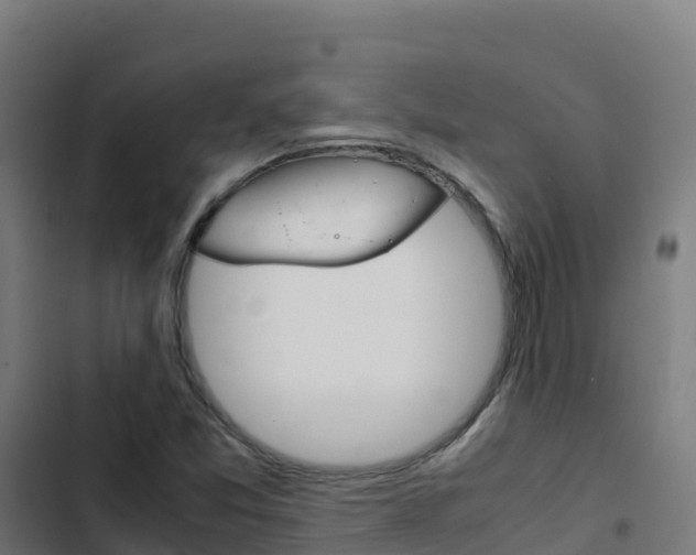 X0000103451357200809121115