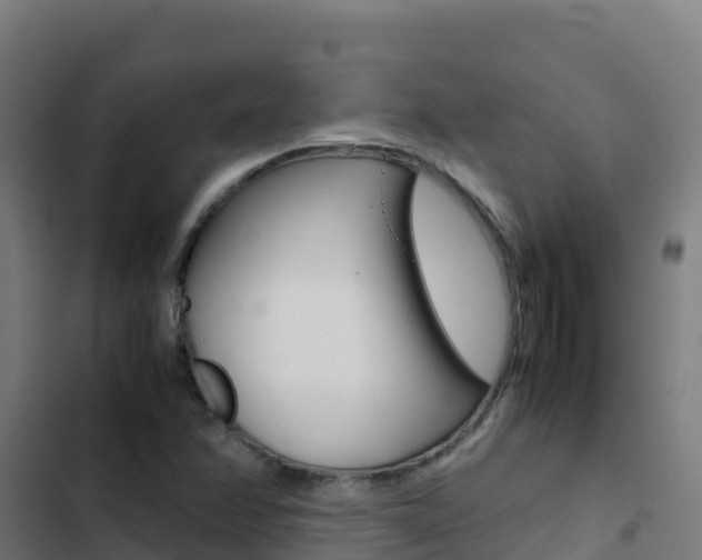 X0000103451358200809121115