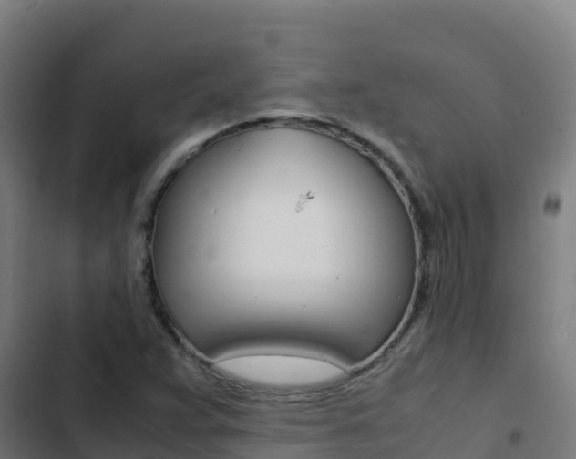 X0000103451359200809121115