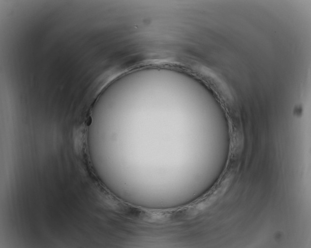 X0000103451361200809121115