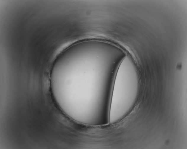 X0000103451363200809121115