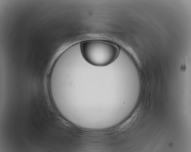 X0000103451365200809121115