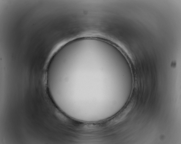 X0000103451366200809121115