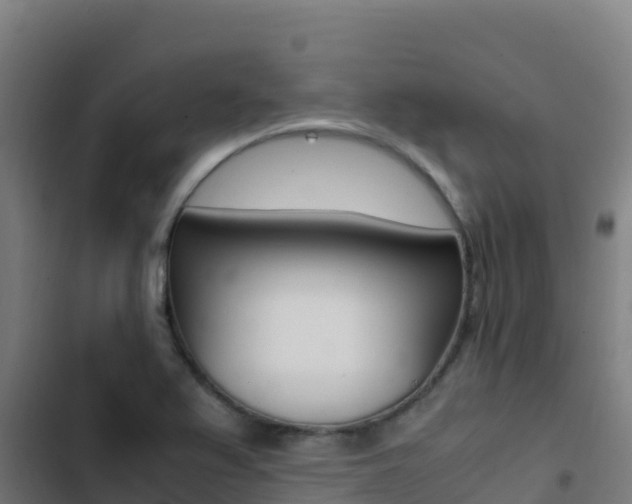 X0000103451367200809121115