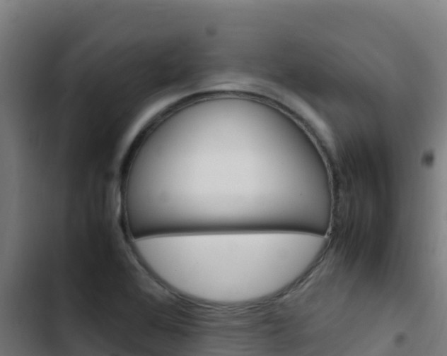 X0000103451368200809121115