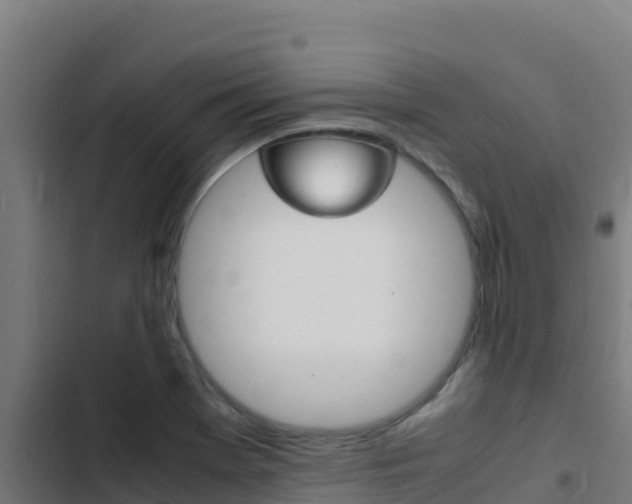 X0000103451369200809121115