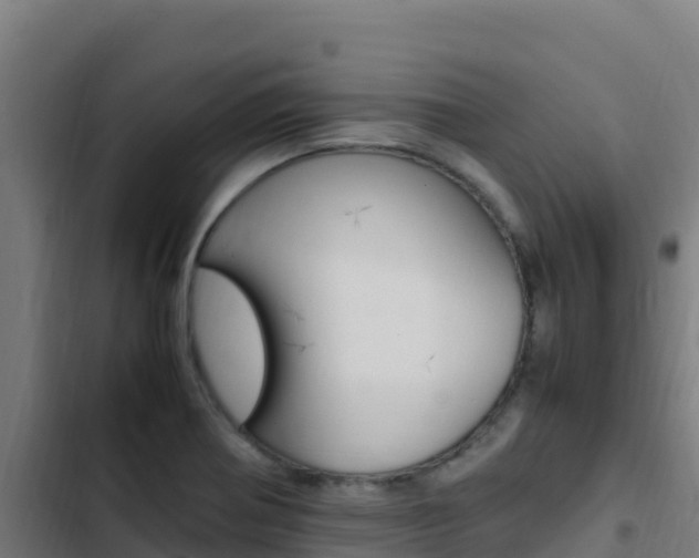 X0000103451370200809121115