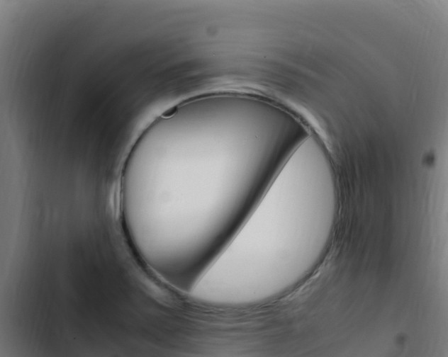 X0000103451371200809121115