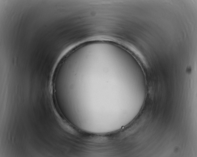 X0000103451372200809121115