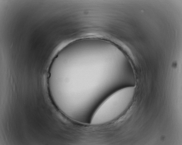 X0000103451373200809121115