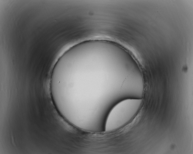 X0000103451374200809121115