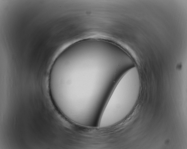 X0000103451375200809121115