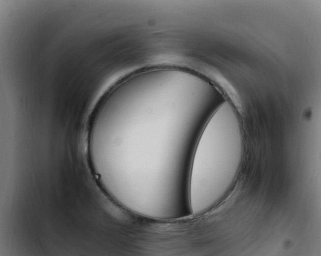 X0000103451376200809121115