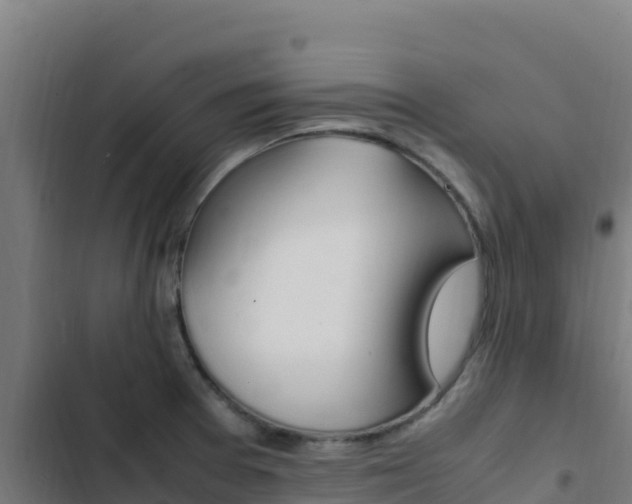 X0000103451377200809121115