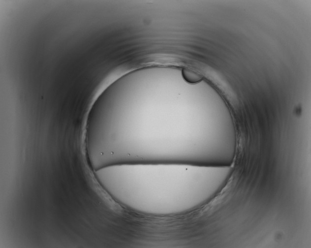 X0000103451378200809121115
