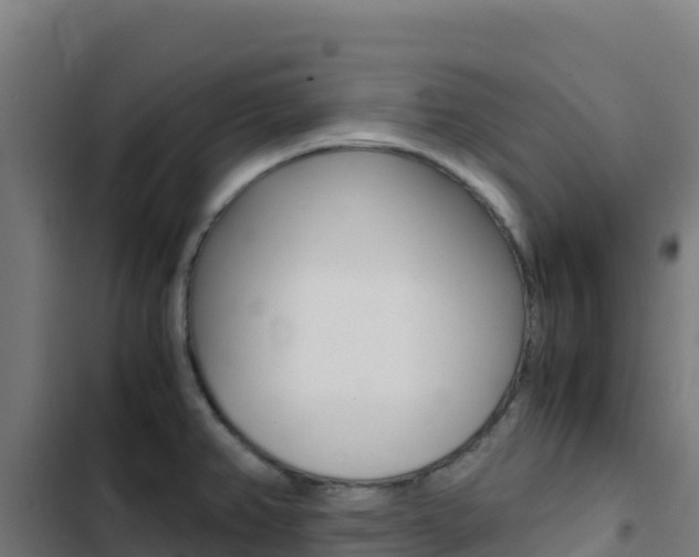 X0000103451382200809121115