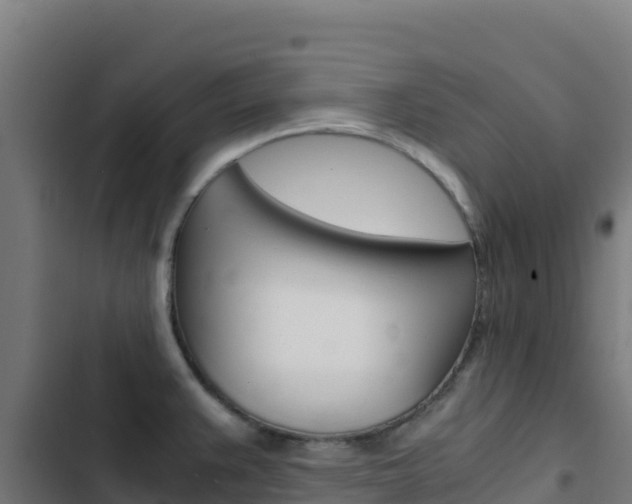X0000103451383200809121115