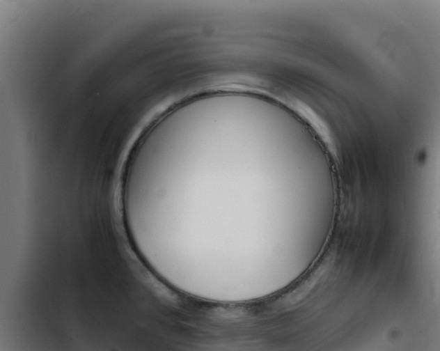 X0000103451384200809121115