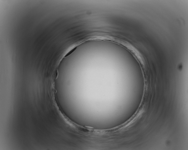 X0000103451385200809121115