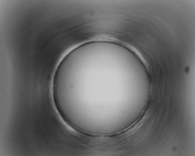 X0000103451387200809121115