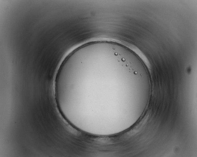 X0000103451388200809121115