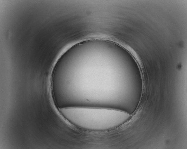 X0000103451389200809121115