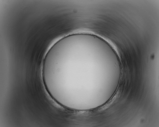 X0000103451390200809121115